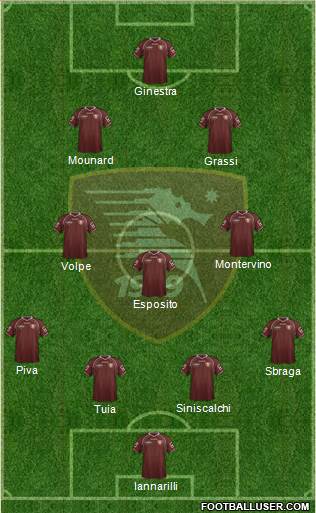 Salernitana Formation 2013