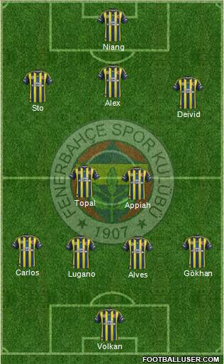 Fenerbahçe SK Formation 2013