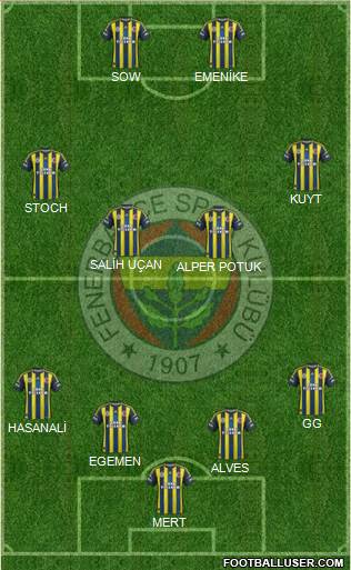Fenerbahçe SK Formation 2013