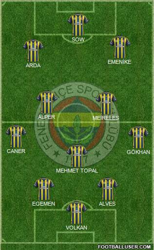 Fenerbahçe SK Formation 2013