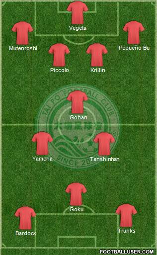 Tai Po Football Club Formation 2013