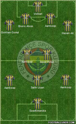 Fenerbahçe SK Formation 2013