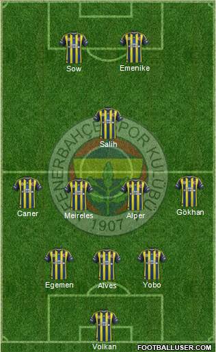 Fenerbahçe SK Formation 2013