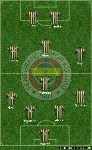 Fenerbahçe SK Formation 2013