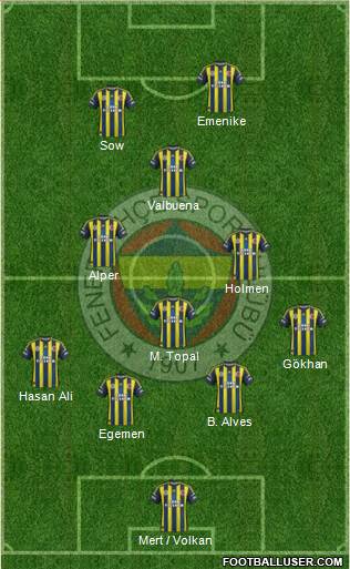 Fenerbahçe SK Formation 2013
