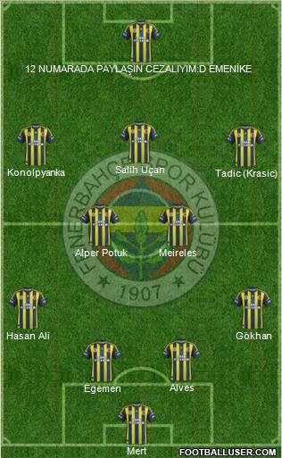 Fenerbahçe SK Formation 2013