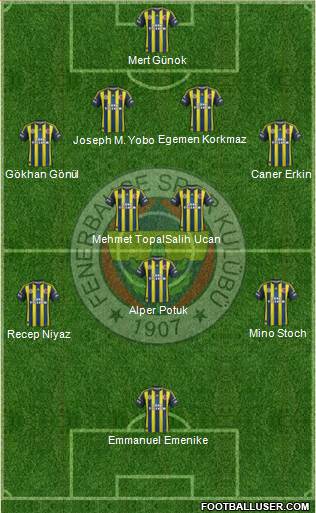 Fenerbahçe SK Formation 2013