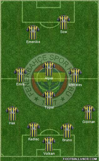 Fenerbahçe SK Formation 2013