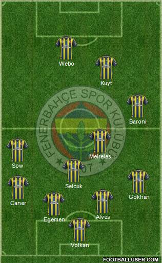 Fenerbahçe SK Formation 2013