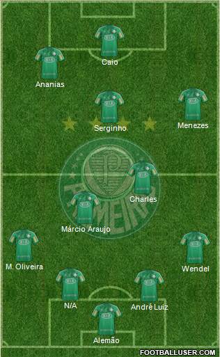 SE Palmeiras Formation 2013
