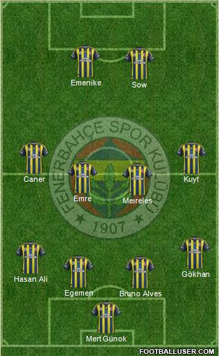 Fenerbahçe SK Formation 2013