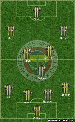 Fenerbahçe SK Formation 2013