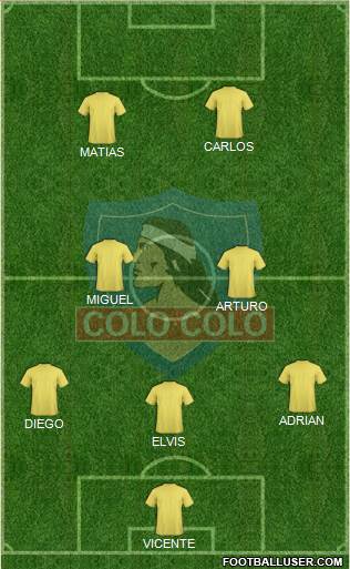 CSD Colo Colo Formation 2013