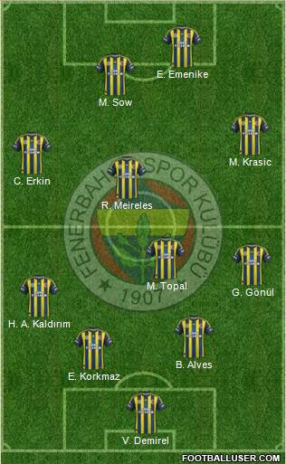 Fenerbahçe SK Formation 2013