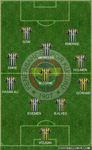 Fenerbahçe SK Formation 2013