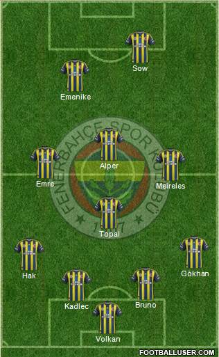 Fenerbahçe SK Formation 2013