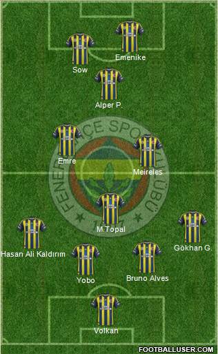 Fenerbahçe SK Formation 2013