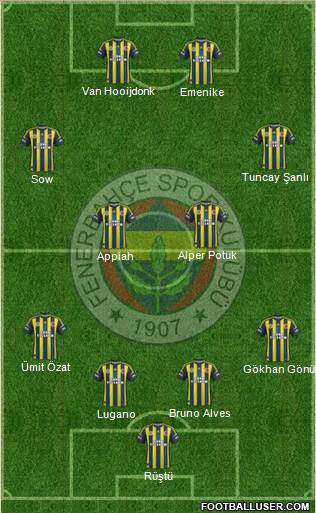 Fenerbahçe SK Formation 2013