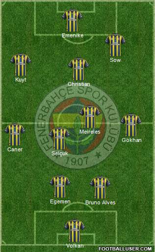 Fenerbahçe SK Formation 2013