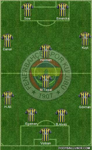 Fenerbahçe SK Formation 2013