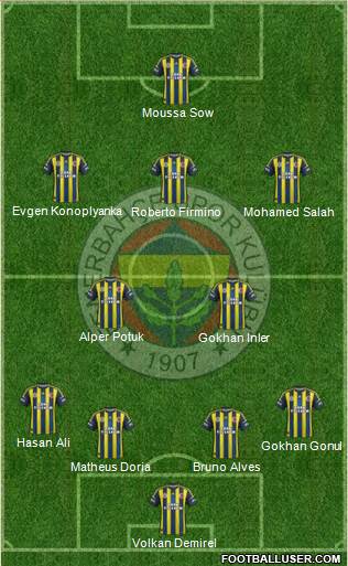 Fenerbahçe SK Formation 2013