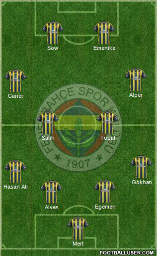 Fenerbahçe SK Formation 2013