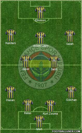 Fenerbahçe SK Formation 2013