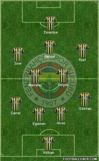 Fenerbahçe SK Formation 2013