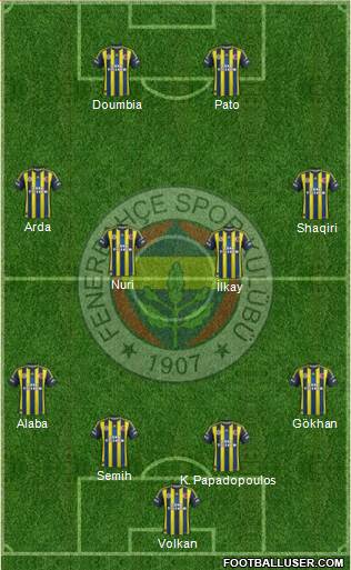 Fenerbahçe SK Formation 2013
