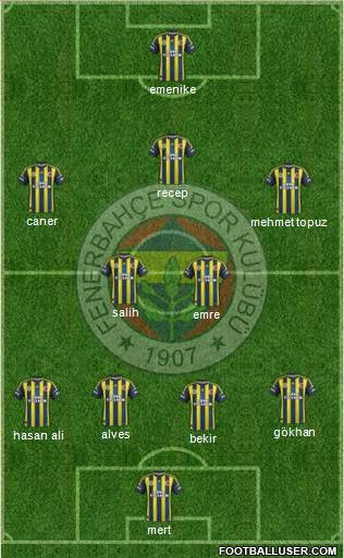 Fenerbahçe SK Formation 2013