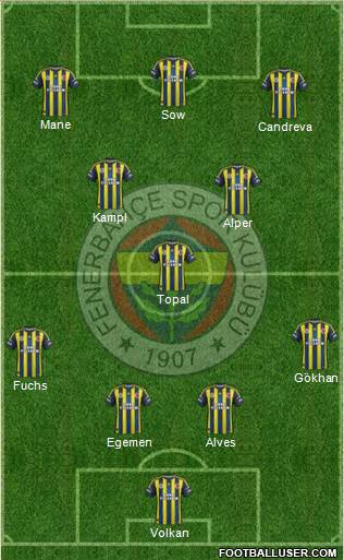 Fenerbahçe SK Formation 2013