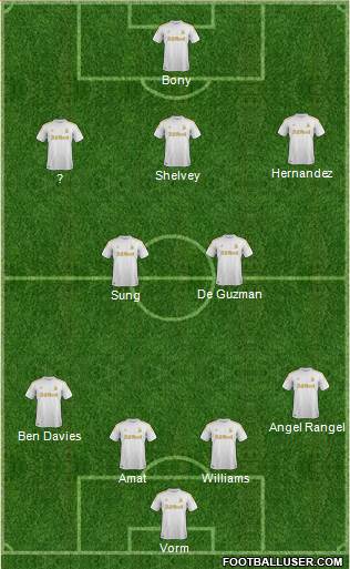 Swansea City Formation 2013