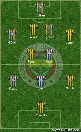 Fenerbahçe SK Formation 2013