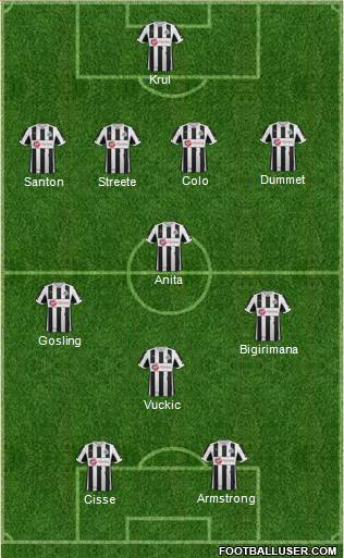 Newcastle United Formation 2013