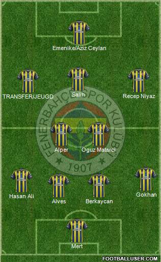 Fenerbahçe SK Formation 2013