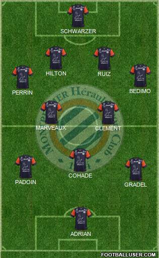 Montpellier Hérault Sport Club Formation 2013