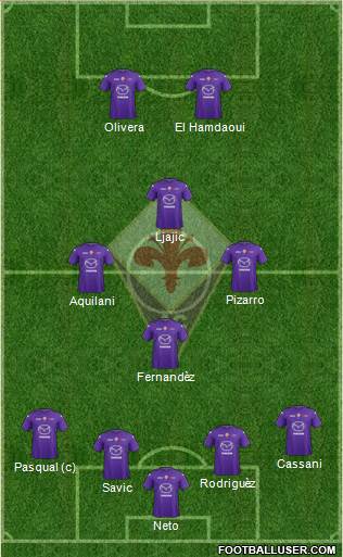Fiorentina Formation 2013