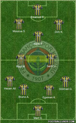 Fenerbahçe SK Formation 2013