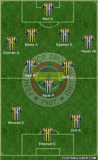 Fenerbahçe SK Formation 2013