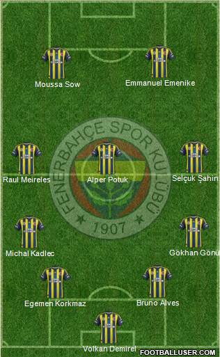 Fenerbahçe SK Formation 2013