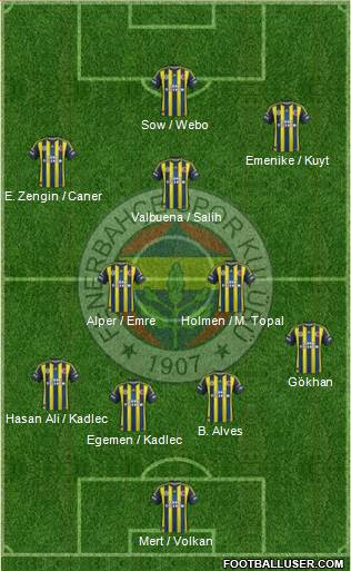 Fenerbahçe SK Formation 2013