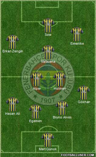 Fenerbahçe SK Formation 2013