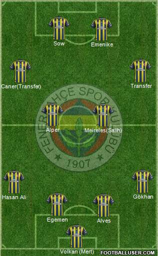 Fenerbahçe SK Formation 2013