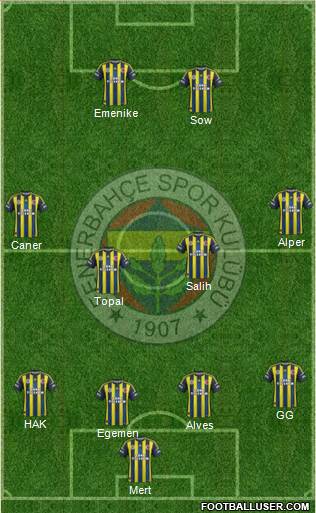 Fenerbahçe SK Formation 2013