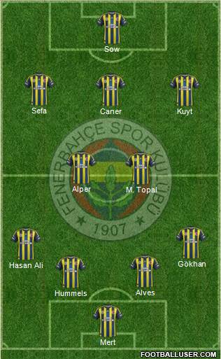 Fenerbahçe SK Formation 2013