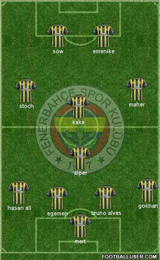 Fenerbahçe SK Formation 2013