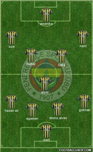 Fenerbahçe SK Formation 2013