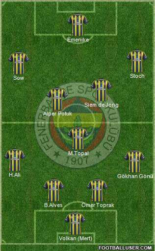 Fenerbahçe SK Formation 2013