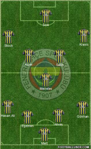 Fenerbahçe SK Formation 2013