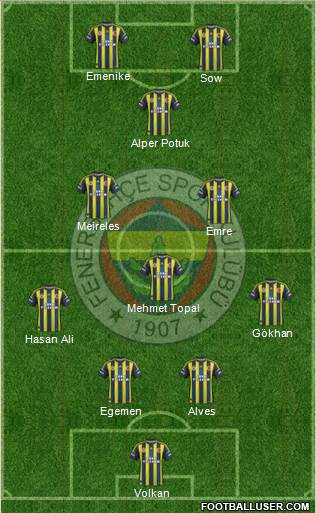 Fenerbahçe SK Formation 2013